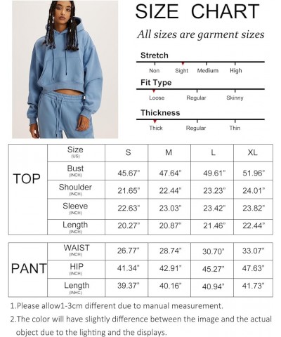 Womens Fleece 2 Piece Outfits Sweatsuit Crop Top And Pants Hoodie Tracksuit Set Teal $26.94 Activewear