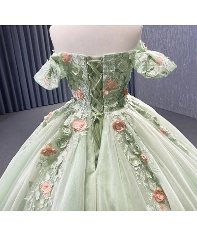 Floral Flower Quinceanera Dresses Lace Princess Ball Gown Puffy Sparkly Tulle Sweet 16 Dresses for Birthday Party Silver $55....