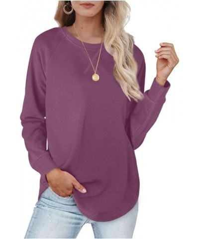 Long Sleeve Shirts for Women Workout Casual Tunic Tops Lightweight Crew Neck Sweatshirts Dressy Blouses for Leggings A00_purp...