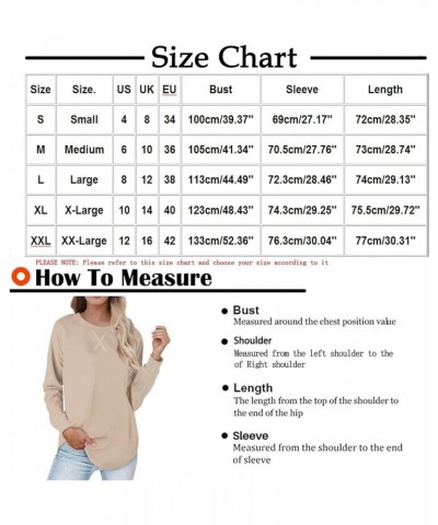 Long Sleeve Shirts for Women Workout Casual Tunic Tops Lightweight Crew Neck Sweatshirts Dressy Blouses for Leggings A00_purp...